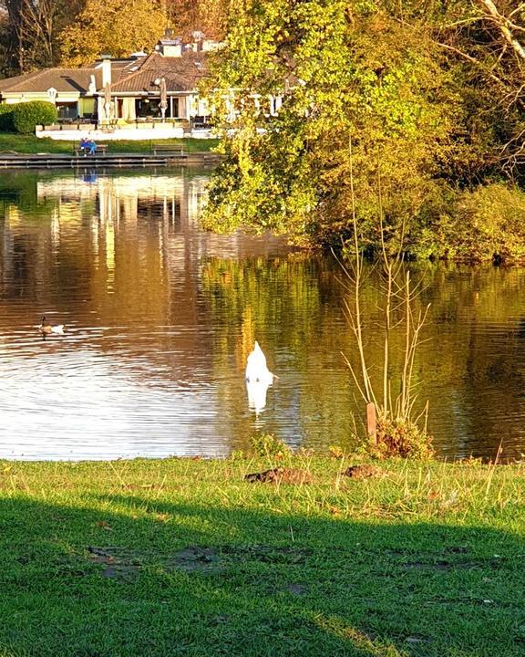 Haus am See