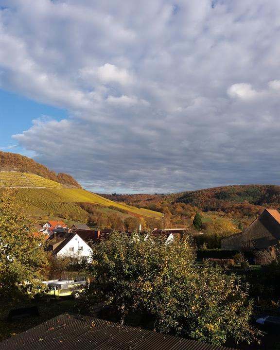 Weinstube Zum Ochsen